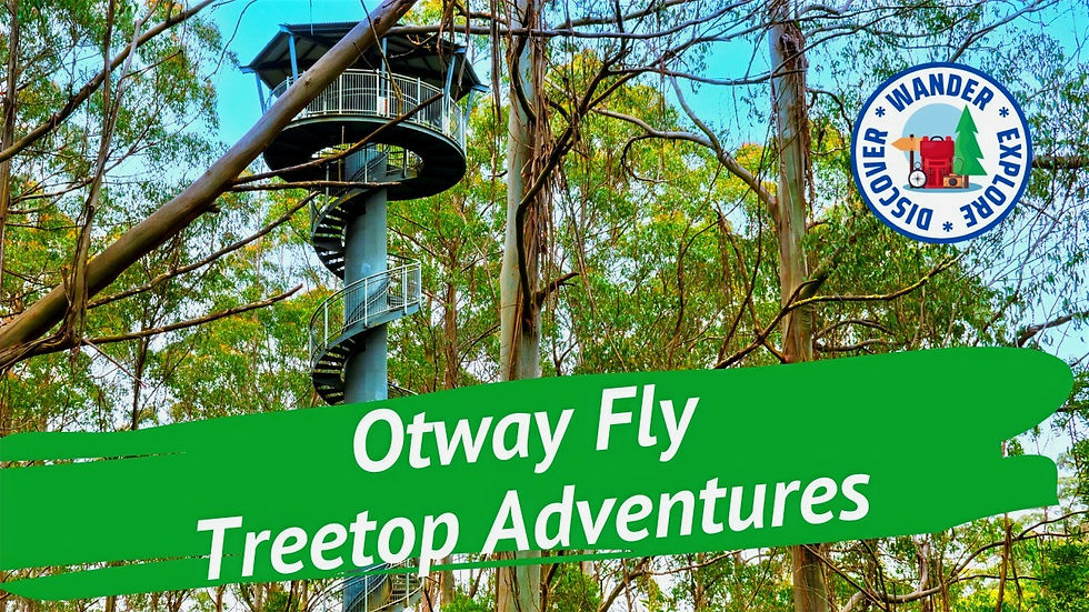 Otway Fly Treetop Adventures ~ Victoria.