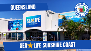 SEA LIFE Sunshine Coast -  We See Underwater Wonders in Mooloolaba