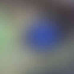 Laratinga Wetlands ~ Mount Barker.