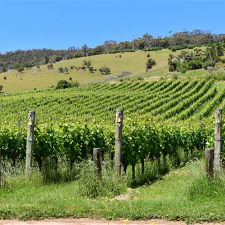 New Norfolk Tasmania