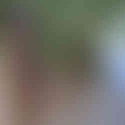 Eungella National Park