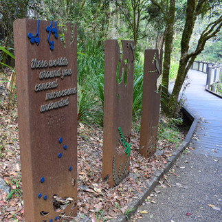 Eungella National Park