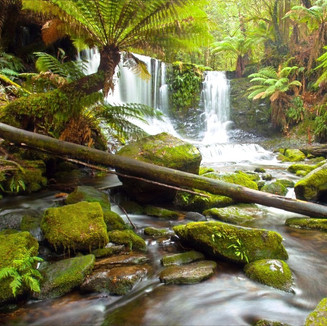 Horseshoe Falls Tasmania