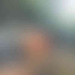 Maleny Botanic Gardens