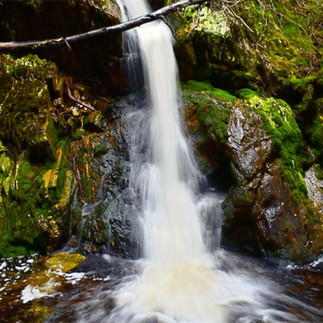 Crater Falls Tasmania