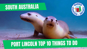 Port Lincoln Top 10 Things to Do – Seafood, Beaches & Wildlife Adventures