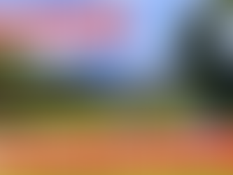 Motorhome Road Trip - Victoria's High Country