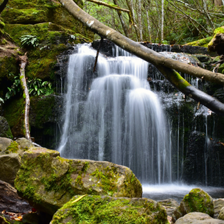 Strickland Falls Tasmania