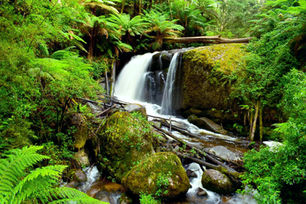 Amphitheatre Falls Victoria