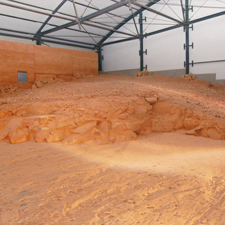 Australia's Dinosaur Trail