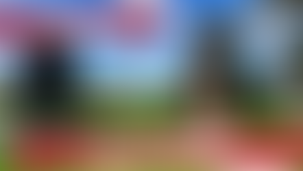 Stanthorpe Queensland