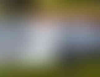 Waratah Town of Tin Walk