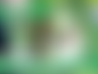 Crispy Skin Whole Trout