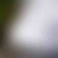 Champagne Falls Tasmania