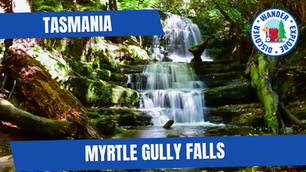 Myrtle Gully Falls near Hobart