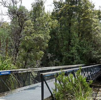 Lake St Clair Tasmania