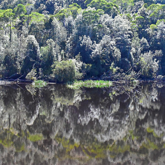 Gordon River Cruise Strahan
