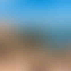 Cape Buffon Canundra National Park