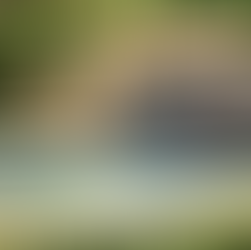 Tanunda Barossa Valley