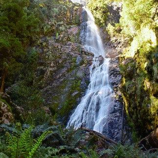 Amazing Montezuma Falls.