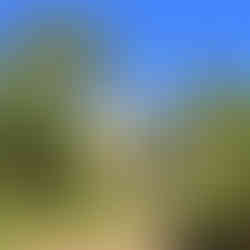 Melville Caves Victoria