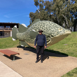 Albury to Echuca Road Trip