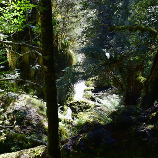 Champagne Falls Tasmania