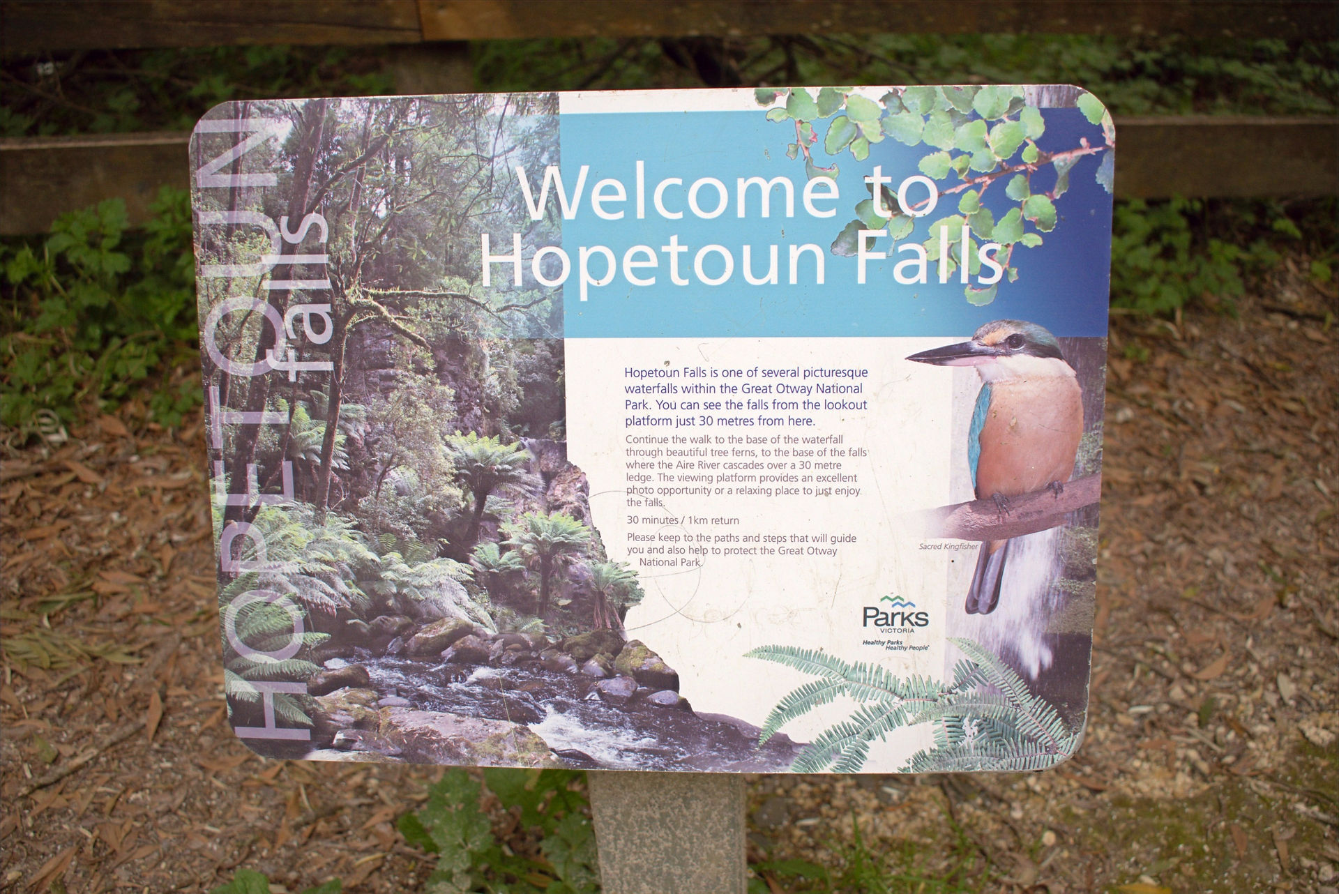 Hopetoun Falls The Otways