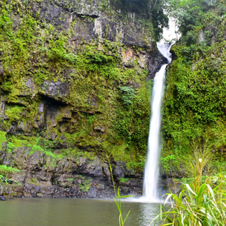 Nandroya Falls ~ Queensland.