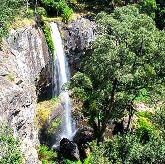 Preston Falls Tasmania