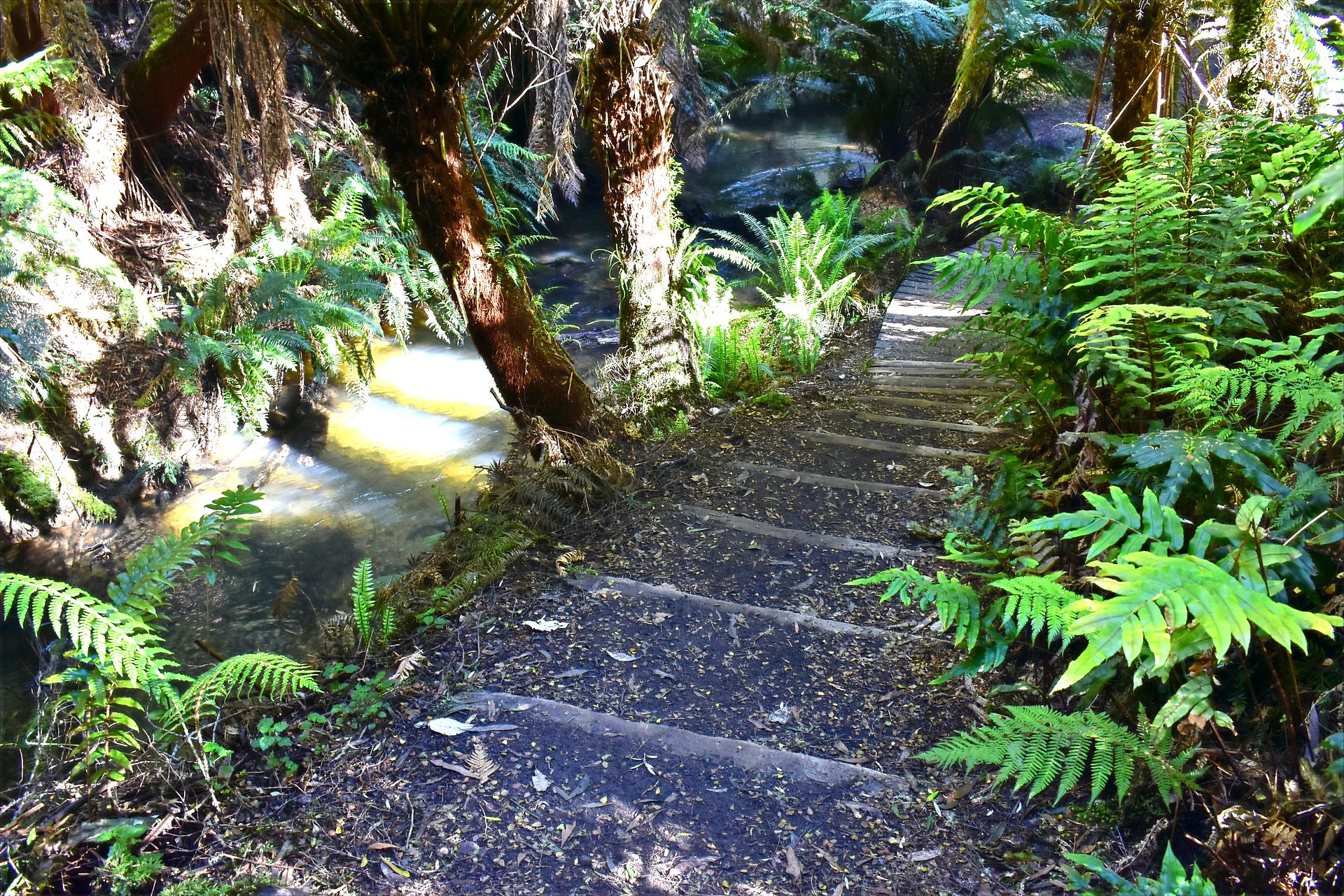 Beauchamp Falls Victoria