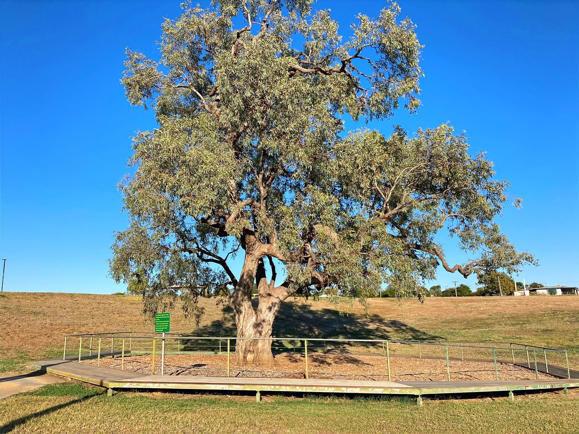 Hughenden ~ Queensland
