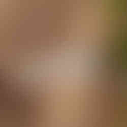 Gulgurn Manja Shelter