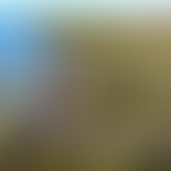 Cowell South Australia