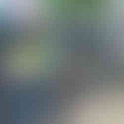 Eumundi Markets Queensland