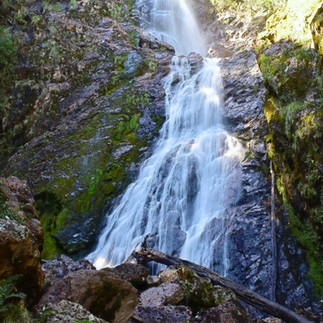 Amazing Montezuma Falls.