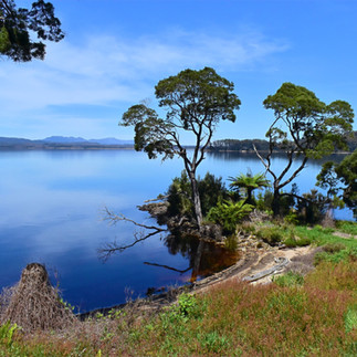Gordon River Cruise Strahan