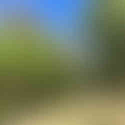 Pioneer Bridges Campground