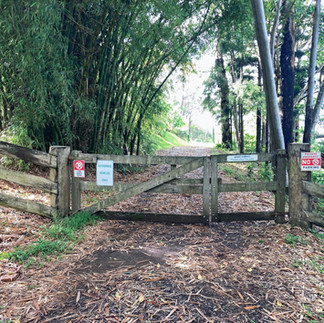 Baxter Falls ~ Queensland