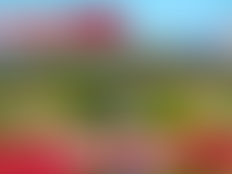 Pomona, Queensland - Hinterland Village at the Base of Mount Cooroora