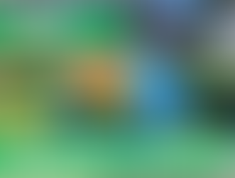 Shepparton Top 10 Things to Do