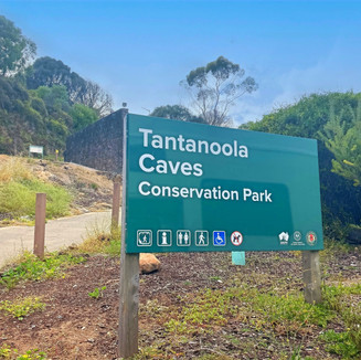 Tantanoola Caves