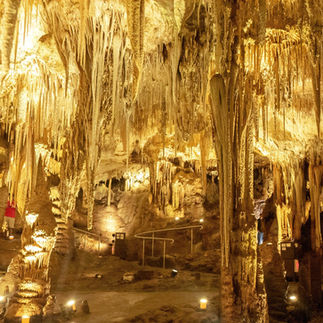 Tantanoola Caves