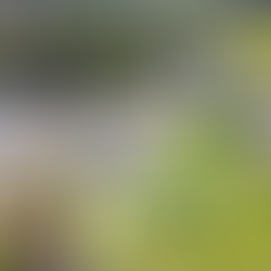 Victoria High Country Road Trip