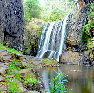 The beautiful Guide Falls, Tasmania.