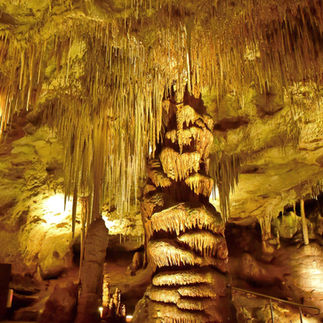 Tantanoola Caves