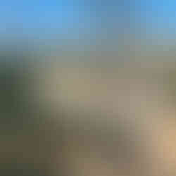 Wilabalangaloo Reserve