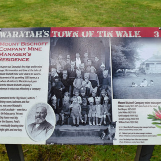 Waratah Town of Tin Walk