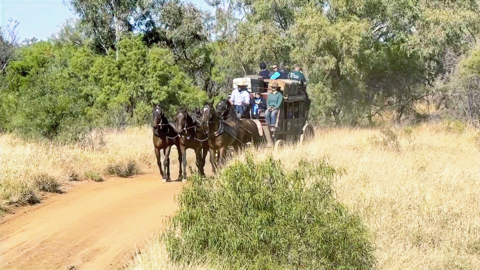 Stagecoach Ride Longreach