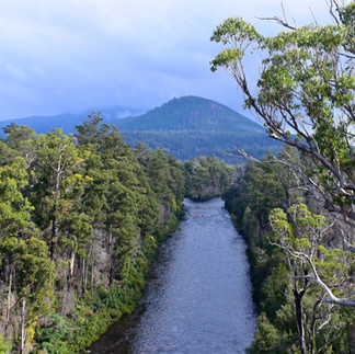 Tahune Airwalk, Tasmania.